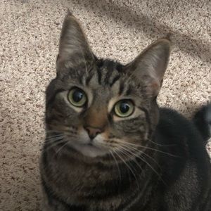 Meet your Posher, Mariah